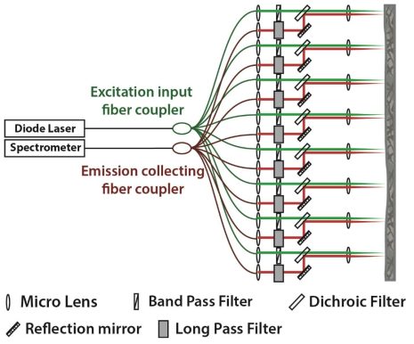 Schematic design of Micro-array type probe