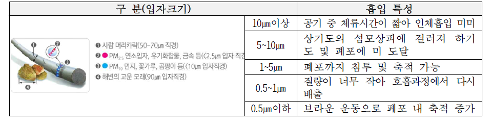 미세먼지 입자크기에 따른 흡입 특성