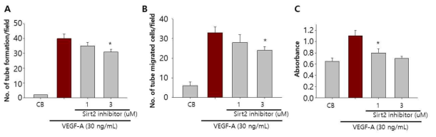 Suppresive effect of sirt2 inhibitor AGK2 on vascular endothelial cell growth factor (VEGF) A- induced angiogenesis. (A) Quantification of capillary-like tube formation. Tube format ion was quantif ied by the number of tubes using phase- contrast microscope. (B) Numbers of migrated cells after stimulation with VEGF- A. Control buffer (CB), AGK2 (1 and 3 μM), or VEGF- A (30 ng/ ml) in EBM-2 containing 0.5% bovine serum albumin was placed in the bottom wells of the chamber. Cells that migrated through to the lower chamber were stained with Diff- Quick solution and counted the number of migrated cells. Bars represent means ± S.D. (C) Quantif ication of proliferating cells after stimulation with VEGF- A. EGF- A (30 ng /ml) was added to serum- starved human vascular endothelial cells for 48 h and proliferation was measured with an XTT assay. Bars represent means ± S.D. P < 0. 05 vers us CB