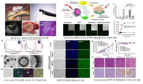 동물모델에서 소화기암 내시경 치료제 적용성 검토