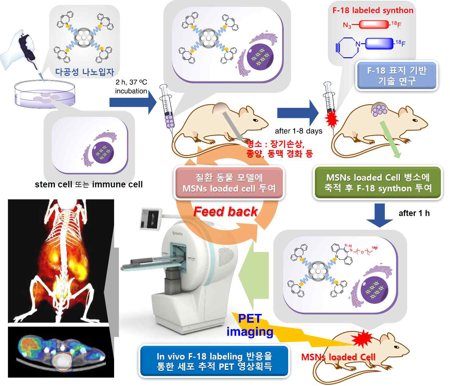 연구 개발 가설 및 개념도