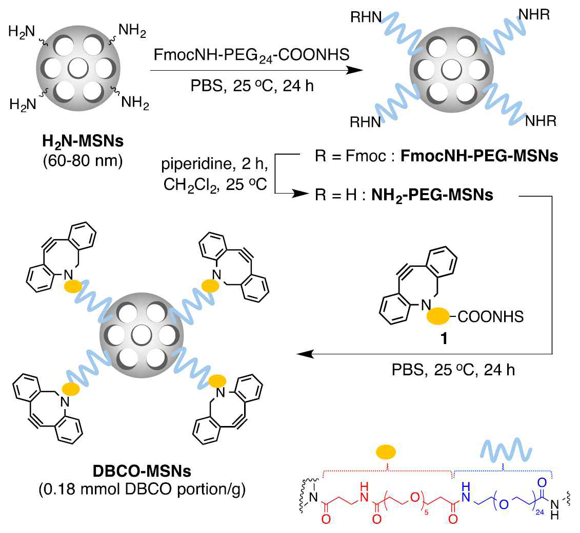 Preparation of DBCO ligated MSNs (DBCO-MSNs). DBCO = aza-dibenocyclooctyne. NHS=N-hydroxylsuccinimide ester