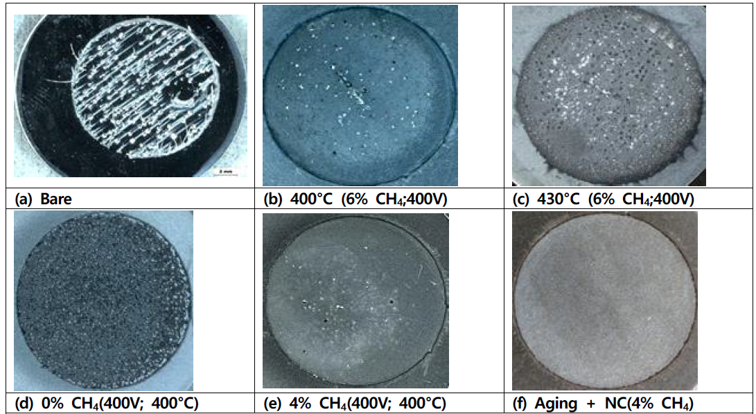 Macroscopic View after potentiodynamic polarization test