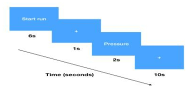 Experimental paradigm for fMRI experiment