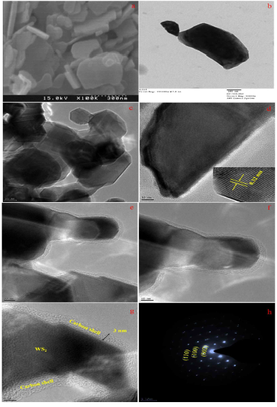 (a) SEM and (b) HRTEM images of bulk WS2, HRTEM images of (c, d) e-WS2, and (e–g) C@e-WS2 catalyst, and (f) SAED pattern of C@e-WS2 catalyst