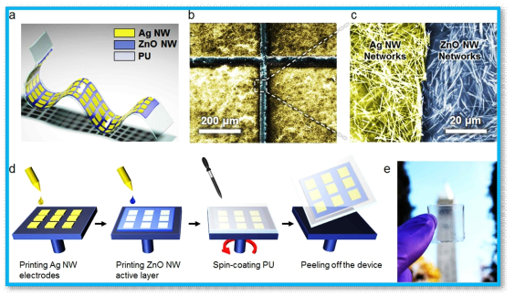Ag nanocomposite ink after sintering and resin bonding of discrete electronic components and TMDs based nanoscale devices for electronics and optoelectronics