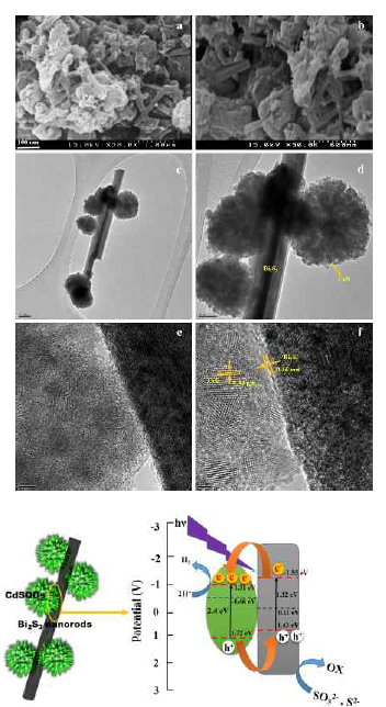 Bi2S3/CdSQDs nanocomposite for photoelectrochemical applications