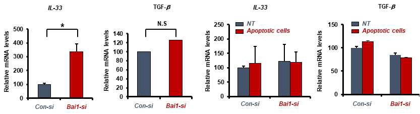 대식세포에서 PtdSer receptor인 BAI1을 silencing한 후 apoptotic cells의 존재하에서 inflammatory cytokine level을 측정