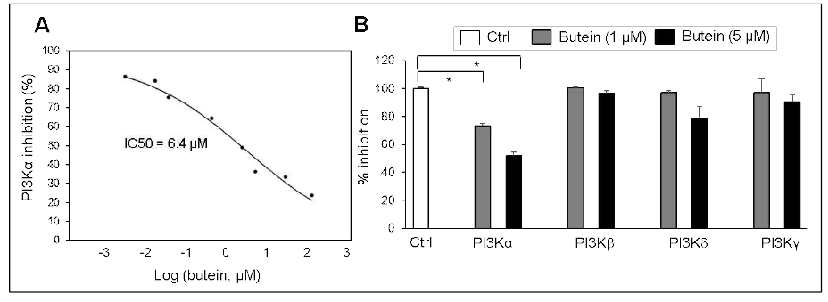 butein에 의한 PI3Ka이 저해 능력과 PI3K isoform에 대한 buein의 대한 저해 능력
