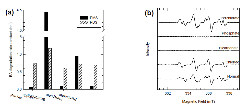 (a) 열분해 반응계에서 과황산염 용액에서의 벤조산 분해 속도상수, (b) 열-과산화일황산염 시스템의 각 배경이온 조건에서 획득된 전자스핀공명 신호