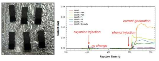 탄소나노튜브 전극 (좌) 및 무기산화제 주입 시 전류 생성 모니터링 (우)