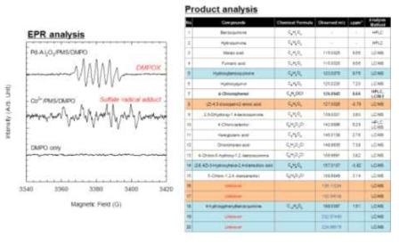 전자스핀공명법 (좌) 및 과황산염 활성화 반응 산물 LC-MS 분석 (우)