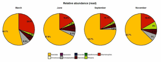 메타바코딩 자료(SSU rDNA V9영역)를 이용한 계절별 군집구조(supergroup)의 변화. 전체 Aveolata가 가장 많은 비율을 차지, 3월에는 Stramenopiles의 비율이 증가, 11월에는 Rhizaria의 비율이 증가