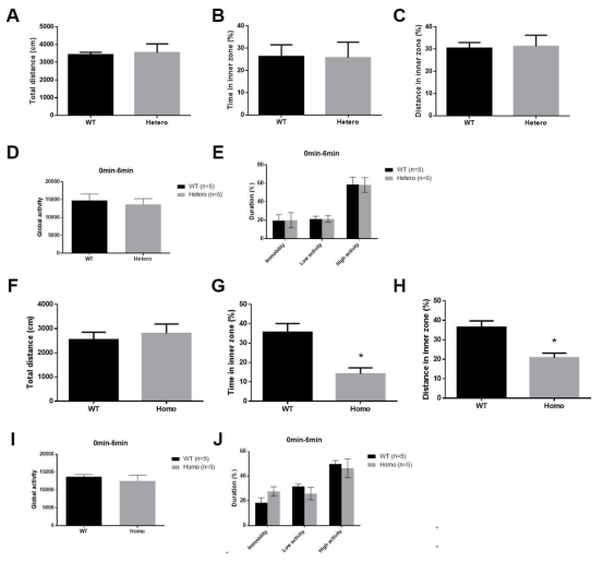정상 생쥐군과 Hetero군 사이의 open field test 동안 총 이동거리 (A), 내측 공간에서 머무른 시간 (B), 내측 공간에서 이동한 거리 비교 (C). 정상 생쥐군과 Hetero군 사이의 강제수영검사 동안 생쥐의 총 활동량 (D), 활동정도를 나타낸 시간 (E). 정상 생쥐군과 Homo군 사이의 open field test 동안 총 이동거리 (F), 내측 공간에서 머무른 시간 비교 (G), 내측 공간에서 이동한 거리 비교 (H). 정상 생쥐군과 Homo군 사이의 강제수영검사 동안 생쥐의 총 활동량 (I), 활동정도를 나타낸 시간 (J). t-검정 및 one-way ANOVA 분석. 모든 값 평균±SEM