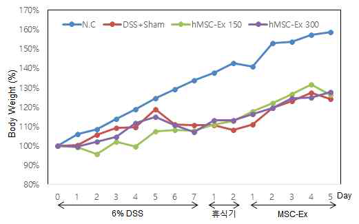SD-Rat를 이용한 DSS 유도 급성 염증성 장질환 모델. NC, 정상 rat; DSS+Sham, DSS와 줄기세포 추출에 사용된 액 투여; DSS와 MSC-Ex 150ug 투여; DSS와 MSC-Ex 300ug 투여