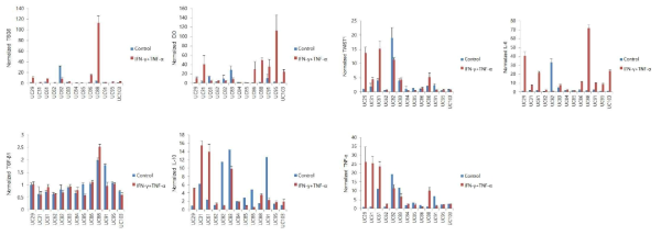 IFN-γ/TNF-α priming 한 13종 줄기세포에서 유전자 발현변화 분석. 제대 간엽줄기세포에 IFN-γ(65 ng/ml)과 TNF-α(15 ng/ml)를 24시간 처리 후, RNA 발현량을 real-time PCR 방법으로 확인함. 항염증관련 유전자(TSG-6, IDO, TGF-β1, IL-10), 분화관련 유전자(TWIST1), 염증관련 유전자(IL-6, TNF-α)