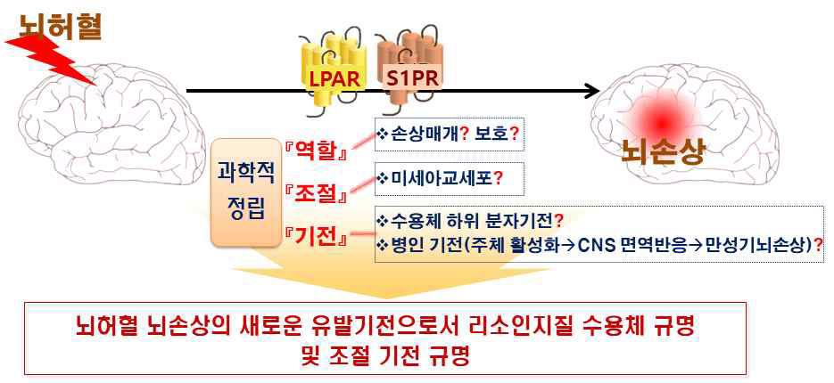 본 연구를 통해 규명될 연구 쟁점 개요도