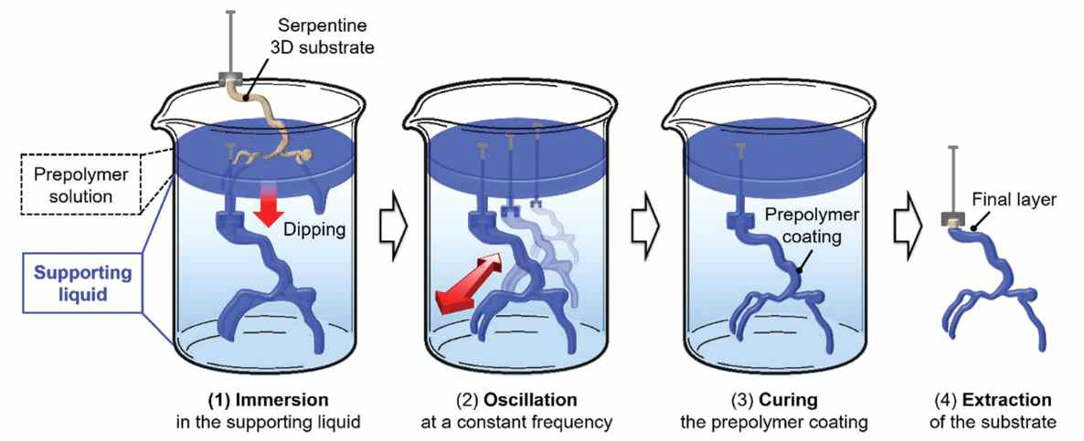 3D 혈관 기판 상에 PDMS 층을 형성하는 과정