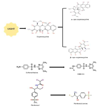Predicted pathways of oxytetracycline (OTC), sulfamethazine (SA), and florfenicol (FL) dissipation/degradation in water
