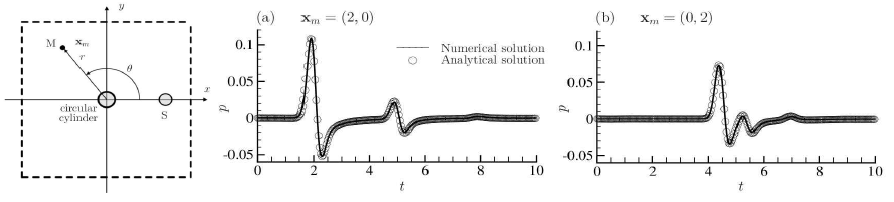 Validation of our developed numerical method involving an immersed boundary method