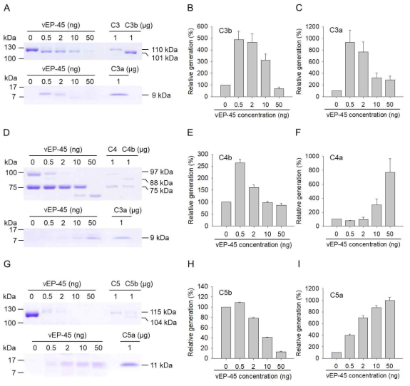 Cleavage of human complement proteins C3, C4, and C5 by vEP-45 as shown by SDS-PAGE. (A, D, and G) Five micrograms of each of human complement proteins C3, C4, or C5 were incubated with vEP-45 (0.5, 2, 10, or 50 ng) for 10 min at 37°C. Proteins from each sample were separated by SDS-PAGE and stained with Coomassie brilliant blue. (B, C, E, F, H, and I) The histograms show the productions of C3b α′ chain (B), C3a (C), C4b α′ chain (E), C4a (F), C5b α′ chain (H), and C5a (I) upon treatments with different concentrations of vEP-45, in which the value obtained from non-treated control was regarded as 100%