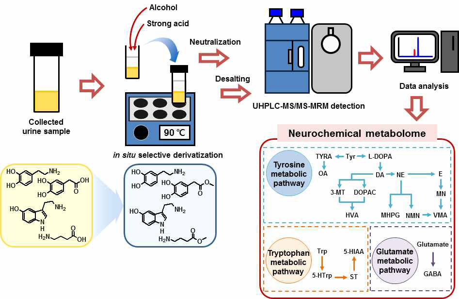 20 종 신경전달물질의 대사경로와 분석 플랫폼