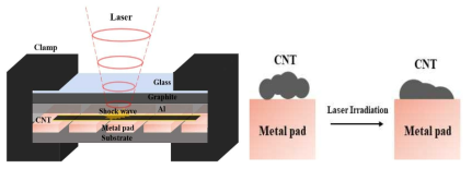 Concept of laser-shock pressing technique for bonding CNTs on metal pads