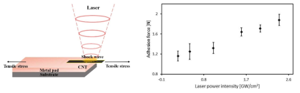 Adhesion force of CNT-metal pad