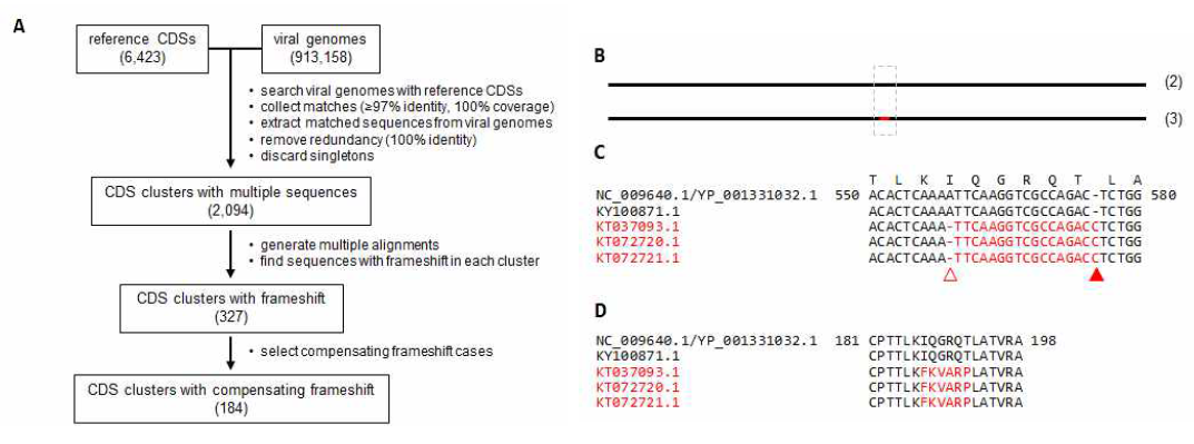 보상적격자이동 변이의 발굴 과정(A)과 PorPV의 매트릭스 단백질의 예(B,C,D)