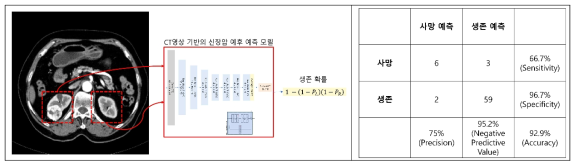 CT영상 기반의 신장암 환자의 사망확률 예측 모델 및 결과