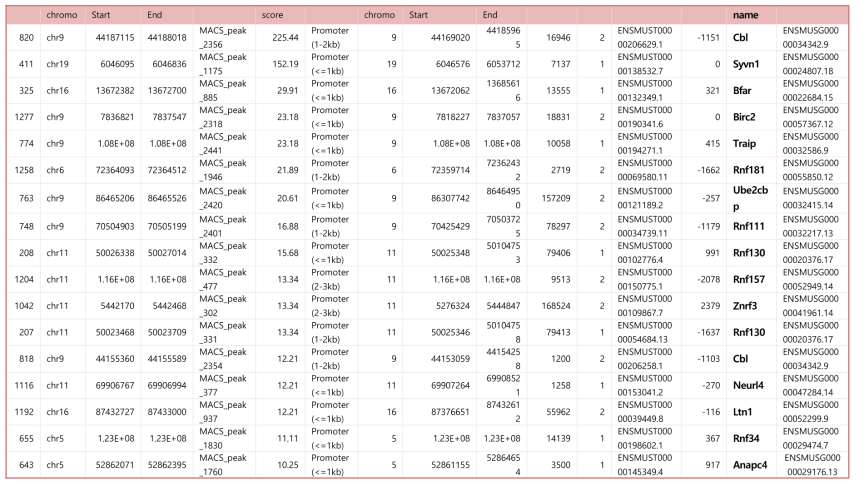 Ubiquitin ligases identified by XBP1 ChIP-seq data analysis (GSE86048)