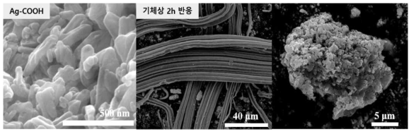 은싸이올과 은싸이올이 기체상에서 환원된 은 나노입자의 주사전자현미경 이미지