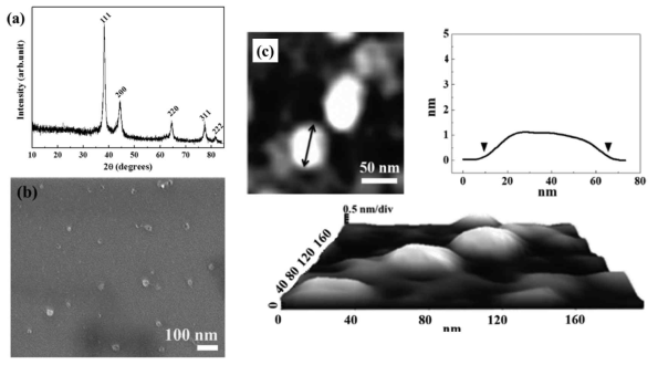 하드 주형이 제거된 은 나노입자의 X-선 회절 분석 패턴, 주사전자현미경 이미지 및 원자간력현미경 이미지