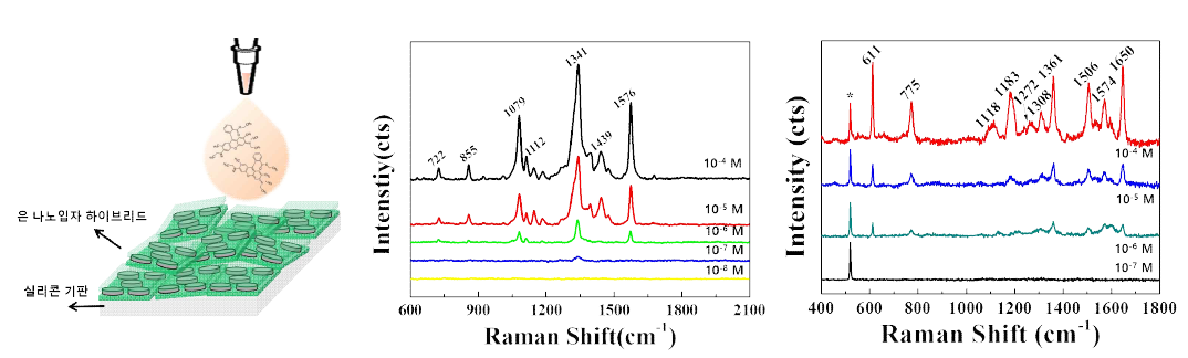 은 나노입자 하이브리드의 코팅 모식도 및 4-니트로벤젠싸이올과 로다민 6G를 이용한 라만 신호 증강 연구