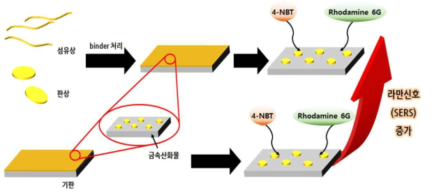 확보된 하이브리드를 활용한 SERS 가능성 연구 모식도