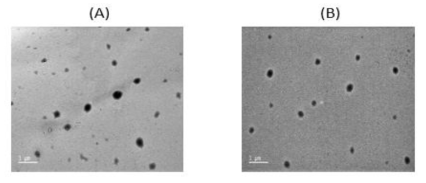 (A) CORM-2-SLNs, (B) Fol-CORM-2-SLNs의 전자현미경 사진
