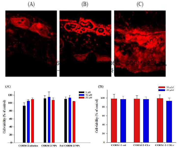 (A) Fol-CORM-2-SLNs 및 (B) CORM-2-UDLs의 세포독성 평가