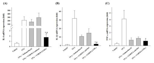 염증 관련 사이토카인의 mRNA 발현에 대한 CORM-2-UDLS의 효과. (A) IL-6, (B) IL-1β, (C) TNF-α