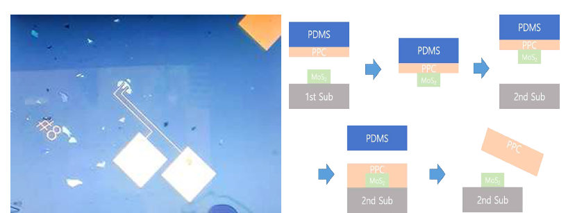 아래 금속 전극 위에 전사된 2차원 반도체 물질의 현미경 사진과 새로운 전사 방식 모식도
