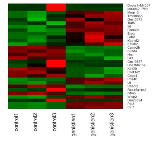 RNA 시퀀싱 분석으로 확인된 제니스타인 처리군에서 차별 발현되는 유전자들의 heatmap (15 top up-regulated genes & 15개 top down-regulated genes)