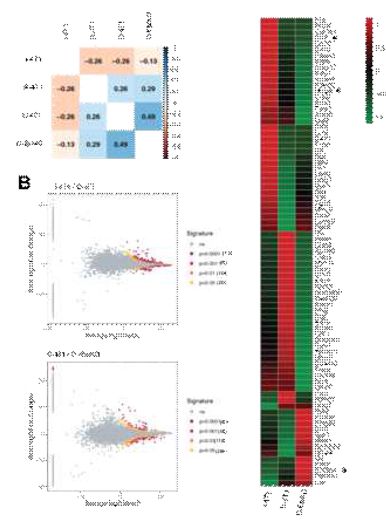 Epithin/PRSS14 Dependent Genetic Heterogeneityof 4T1 cells with Transcriptome Analysis (A) Correlation matrix with FPKM value of all transcriptsbetween every combination. Each 4T1 shows no correlation even though they comefrom same origin. Numbers with color represents Pearson’s coefficient. (B) MA plot of differentially expressed genes foundbetween I-4T1 and D-4T1 or D-4T1 and D-EpiKD. Each dot represents one gene andcolor coded according to its p-value. Ns, grey; p<0.05, yellow; p<0.01,orange; p<0.001, red; p<0.0001, purple. (C) Heatmap of EMT signature genes expresseddifferentially. Genes - Ccl2, Mmp9 and S100a4 – withpattern which is the highest in I-4T1 or D-EpiKD are marked with asterisk (*)