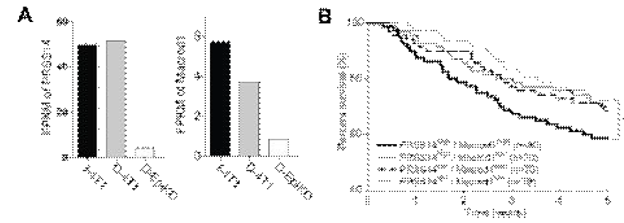 Clinical Implication of Epithin/PRSS14Expression with Macrod1 (A) RNA expression level of PRSS14 (ST14) and Macrod1.Macrod1 is a candidate gene involved in DNA repair, showed decreasedpattern in epithin/PRSS14 deficient 4T1 grown in DMEM (D-EpiKD). (B) Survival analysis of TCGA patients with breastcancer. The survival of patients who express both PRSS14 and Macrod1highly shows decreased percent than that of patients who have low PRSS14and low Macrod1 expression. The significance was statistically estimatedby Log-rank (Mantel-Cox) test. * p<0.05