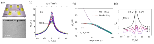 (a) 그래핀 위에 철 입자들을 물리적으로 도핑한 TEM 사진 및 소자 모식도. (b) Fe-G 홀바 소자의 온도에 따른 FET 특성. (c) 전하 중립점에서 온도에 따른 저항 변화. VRH (variable-range hopping) 보다 콘도 모델의 피팅이 더 잘 맞는 결과를 보여준다. (d) 외부 수직 자기장에 따른 Fe-G 소자의 란다우 준위 0에서 스핀 분극 형상