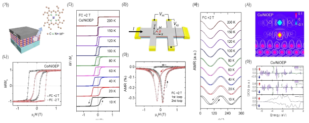 Co/OEP 구조에서의 반강자성 유기물 계면 형성과 교환바이어스. (가) Co/NiOEP 구조 개략도. (나,다) 자기이력곡선 특성의 온도와 인가 자기장에 따른 특성. (라) 홀바 측정 형태. (마) 자기장에 따른 자기저항 및 xy방향 각도에 따른 자기저항 특성. (사) 스핀에 따른 DOS 및 (아) 스핀 배열 계산결과