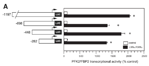 PFKFB1 constructs중 일부 예 (from Iwasaki group, Zhao et al., 2014)
