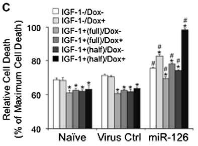 PD 세포 모델에서 miR126의 효과 연구 (Kim et al., 2013)