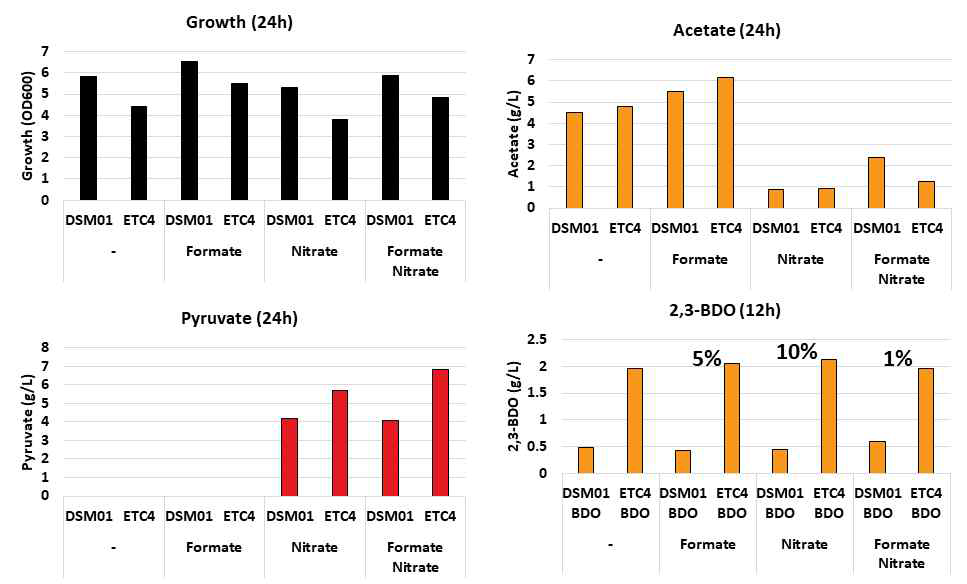 포도당 조건에서 Formate와 Nitrate 공급의 효과