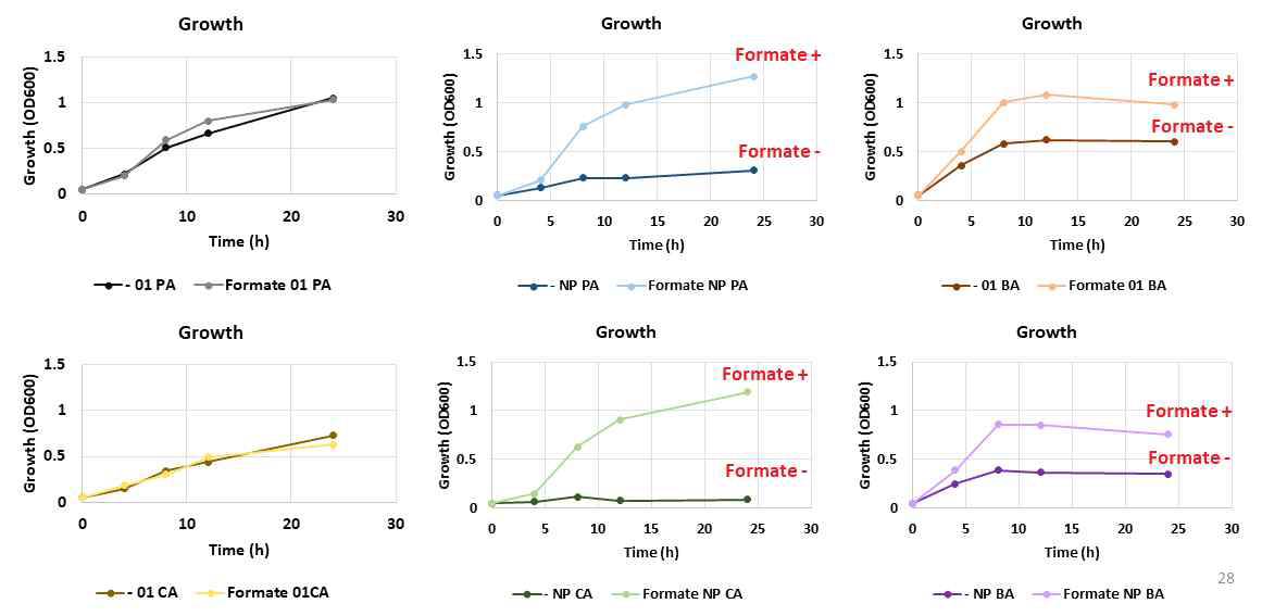 아세트산 조건에서 Formate와 Nitrate 공급에 따른 성장속도의 변화