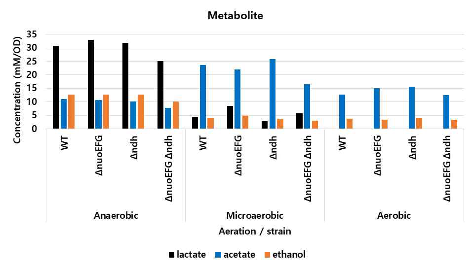 혐기, 미세호기, 호기 조건에서 NDH 돌연변이의 대사체 분석