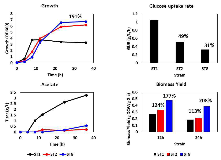 PtsG mutant의 표현형의 변화와 바이오매스 수율